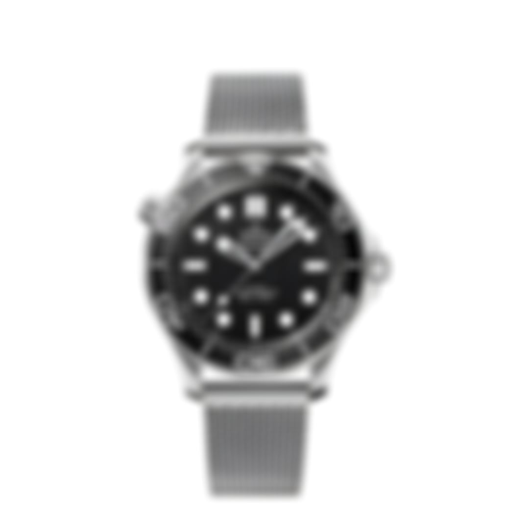 Omega Seamaster “Diver 300M” Black/Mesh Bracelet